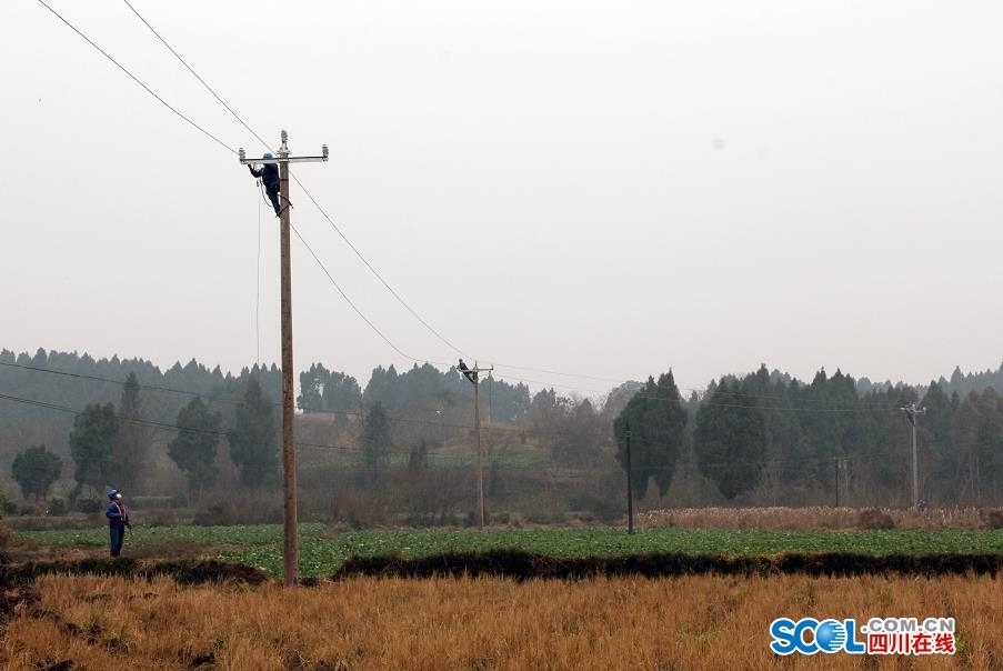 農網升級改造 眉山供電公司為美麗鄉村“增光添彩”