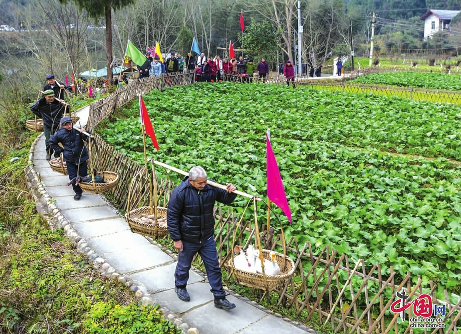 农旅融合 阆中市思依镇杨家河村蝶变换新颜