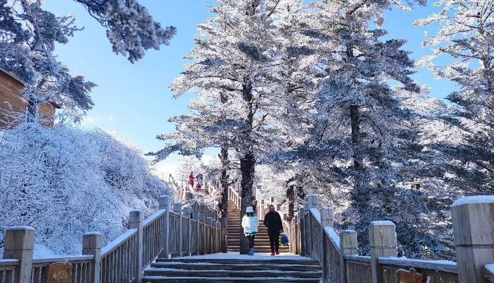 四川多个景区迎来新春瑞雪，峨眉山、海螺沟、西岭雪山冰雪世界太梦幻！