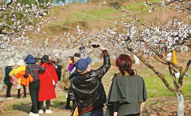 春暖花开日 赏花正当时