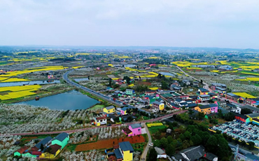 德阳罗江获2020年度四川省乡村振兴先进区