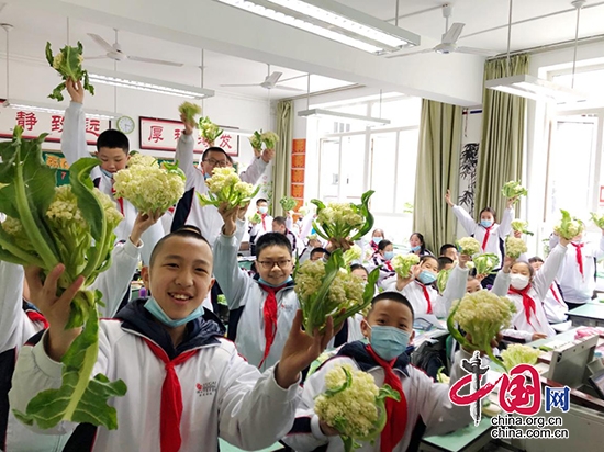 特別的開學“禮物” 成都市七中育才學校學道分校給學生發有機綠色花菜
