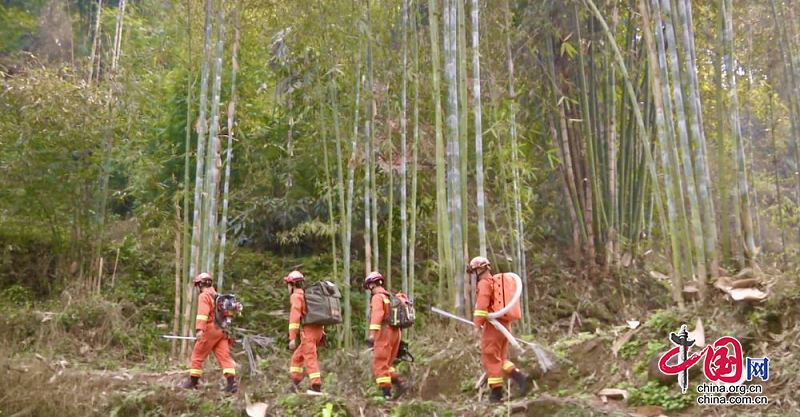 四川青神：樹牢森林防滅火意識 橙色力量守護(hù)綠色森林