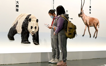 Museum sheds light on giant pandas