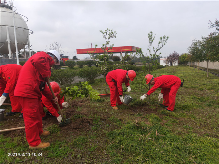 川中油气矿轻烃厂团委组织开展义务植树活动
