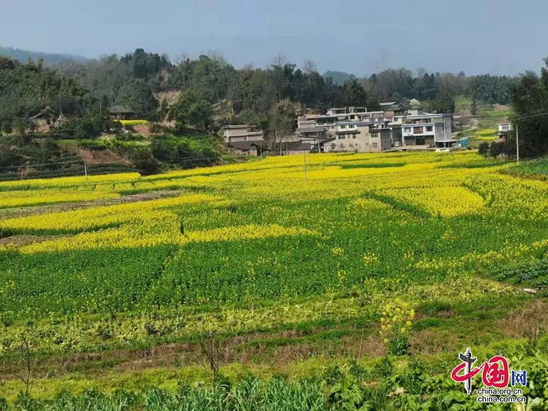 雨城區夯實“六環節”，為春耕備耕保駕護航！