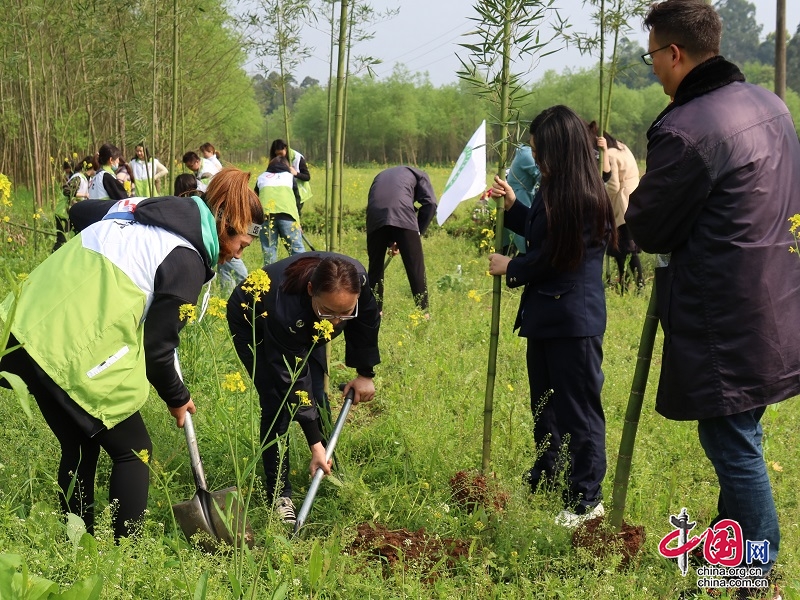 四川青神：植竹添新綠 青春獻(xiàn)力量