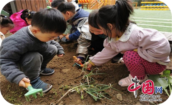 成都市第一幼兒園開展“3.12”植樹節主題活動