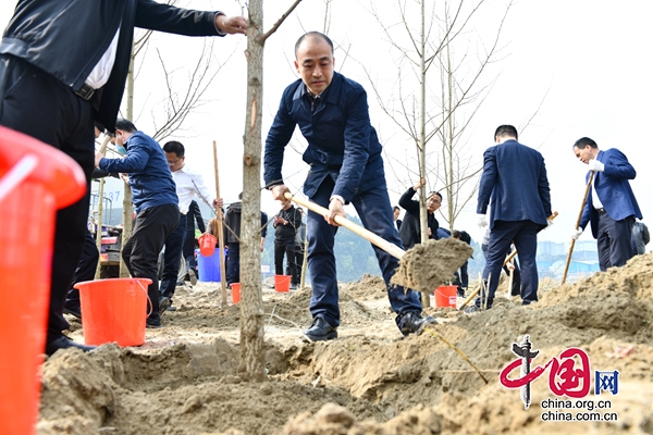 南部县委书记黄波带队到嘉陵江沿岸义务植树