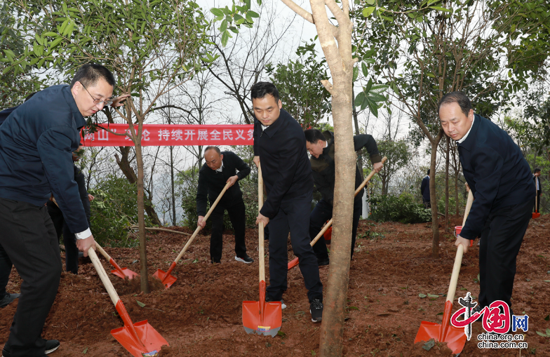 机关干部到西山植树 为美丽顺庆再添新绿