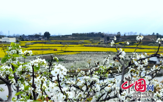 德陽羅江：春來鄉(xiāng)村美如畫 幸福日子紅勝火