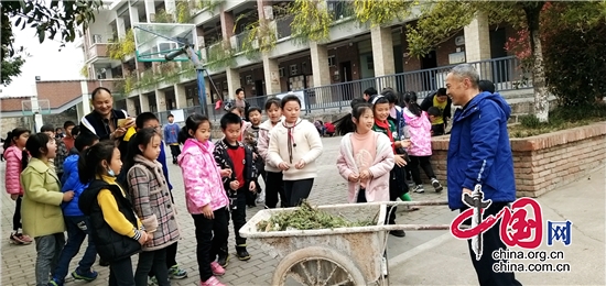 綿陽市遊仙區小枧置信小學開展“護綠”志願活動