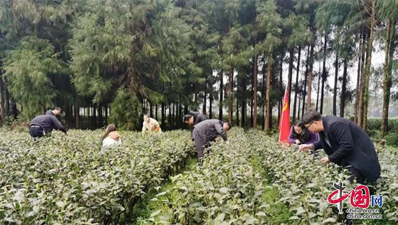 雨城區各鎮、街道、部門積極開展“我為群眾辦實事、用心幫扶送春風”系列實踐活動