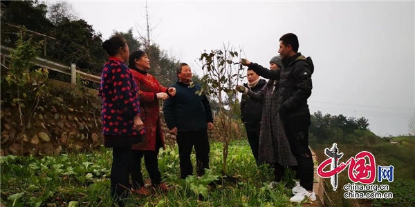 紮根農村，當好鄉村振興的“領頭雁”