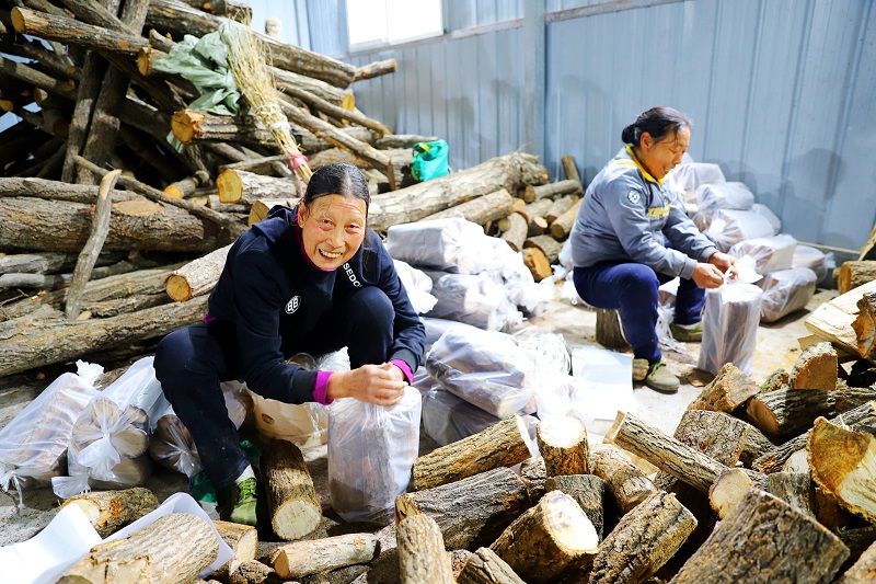 2021年中國·朝天食用菌產(chǎn)業(yè)創(chuàng)新發(fā)展大會在朝天召開