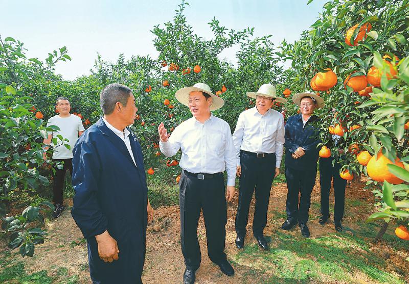 彭清华在眉山调研时强调 抢农时助春耕 抓项目促投资 务实推动各项事业展示新气象实现新发展