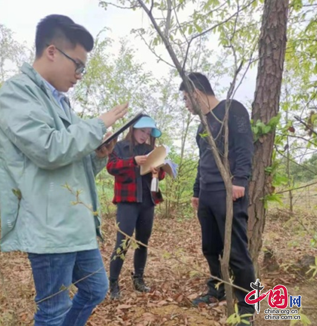 阆中市接受省级松材线虫病春季防治成效评估