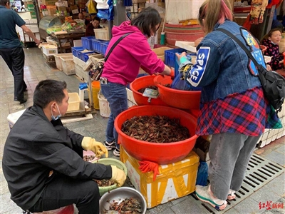 小龙虾上市了！本地货最贵超40元/斤 商家：湖北虾大量上市后或降价