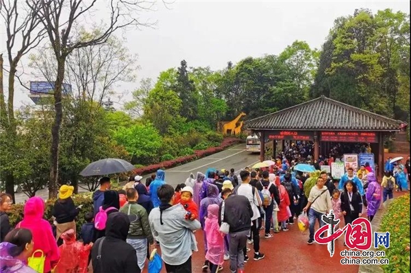 清明小長假，雨城旅遊市場火熱！