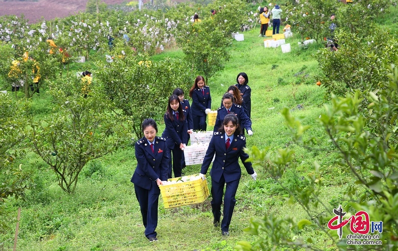 四川稅務(wù)：引金融活水，添三農(nóng)活力