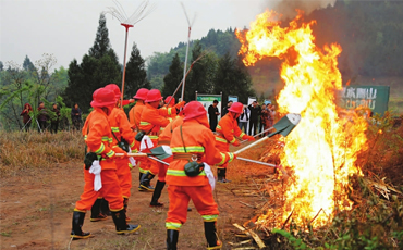 在重点林区连入公安监控视频 南充顺庆区为森林防火装上“天眼”