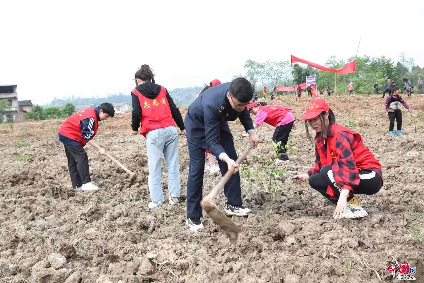 四川广安：机关干部和学生志愿者合力植树助力乡村振兴