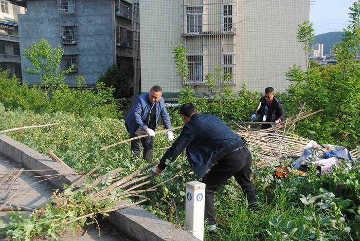 射洪市太和街道凉帽山社区整治建筑垃圾 为居民营造宜居环境