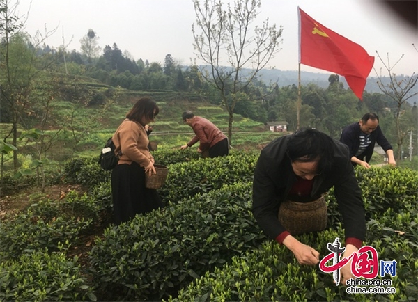 雅安雨城区开展“我为群众办实事，用心帮扶送春风”活动