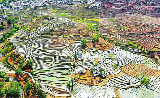 凉山州甘洛县普昌万亩梯田灌水插秧