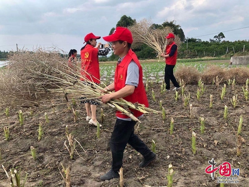 眉山市彭山區(qū)田間地頭辦實(shí)事  為民服務(wù)解憂愁