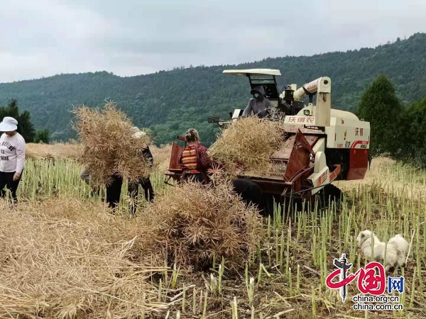 四川劍閣縣元山鎮(zhèn)創(chuàng)新秸桿還田綜合利用