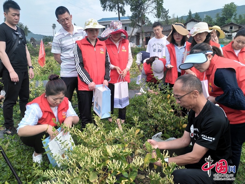 学史力行践初心 我为群众办实事——巴中巴州区妇联开展“学党史、践初心、办实事”实践活动