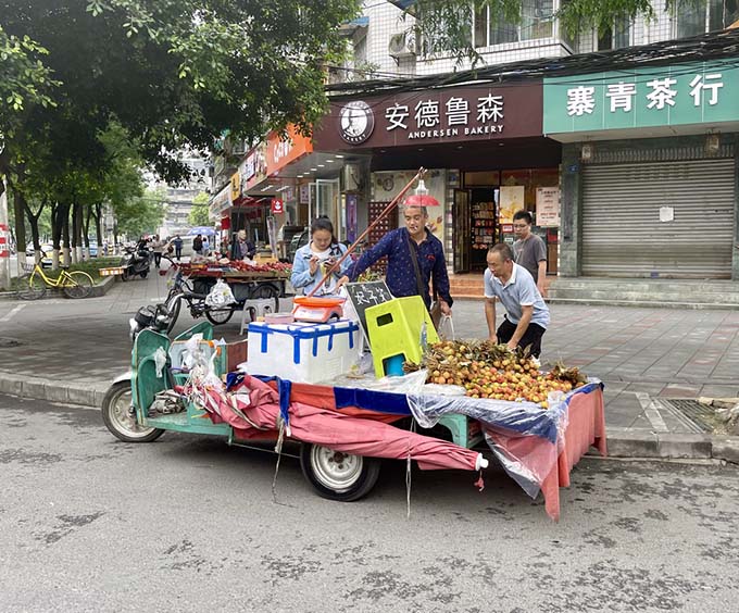 荔枝价格下跌，妃子“哭”了！