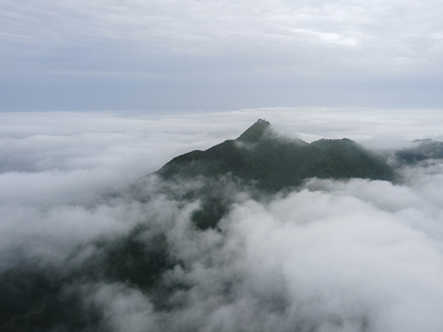 广安华蓥山：坐看云起 高登山美如仙境