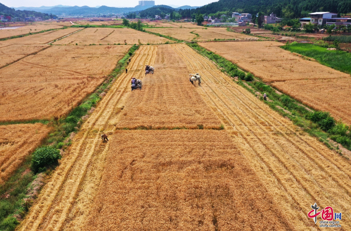 成都农交所德阳所引进央企助力中江粮油产业