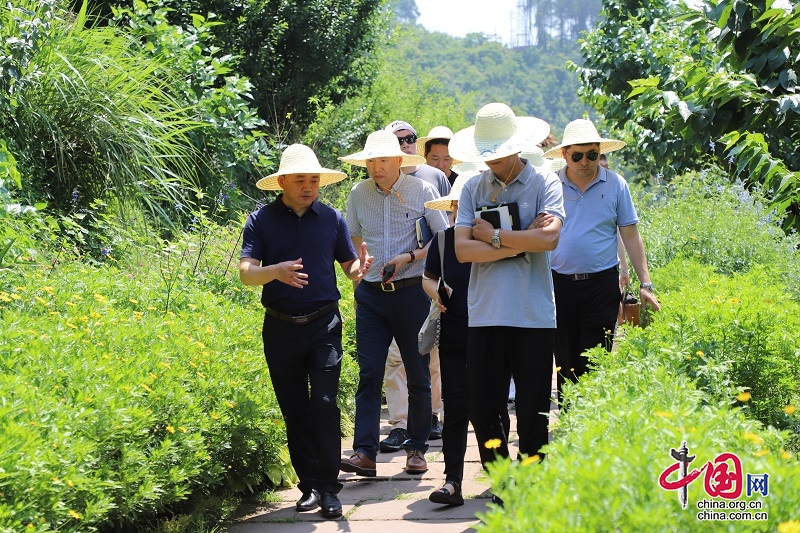 丹棱县：抓好“六大行动”  助力生态文明建设