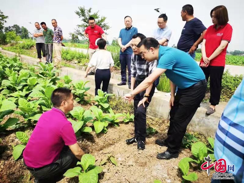 不忘代表初心 執(zhí)著為民發(fā)聲