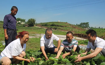 自贡富顺土地村：全国文明村“锦上”再“添花”