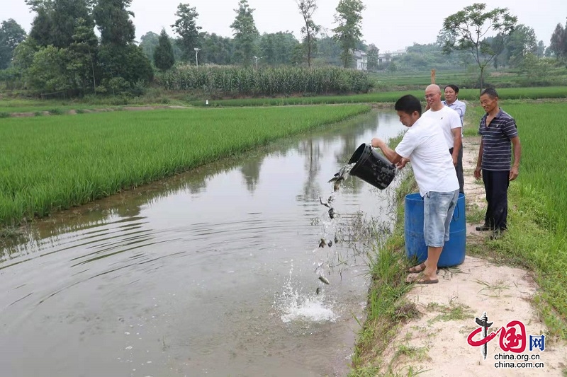 廣安區： 稻漁綜合種養助推鄉村振興