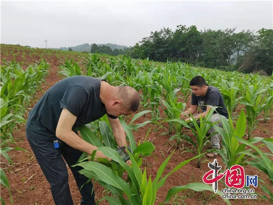 成都金堂：群眾利益無(wú)小事 從“金心辦”看基層“精心辦”