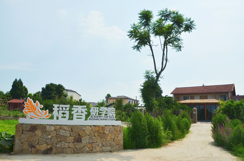 鄉(xiāng)村游再添新景！廣漢“稻香公園”打造多層次生態(tài)產(chǎn)業(yè)