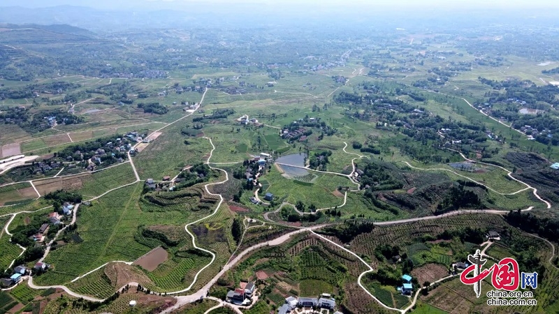 岳池:从医药大县迈向医药强县