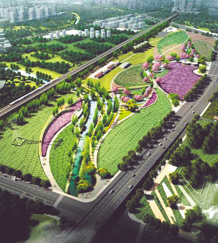 提升城市“綠肺”功能 高新區將新添一座濕地公園