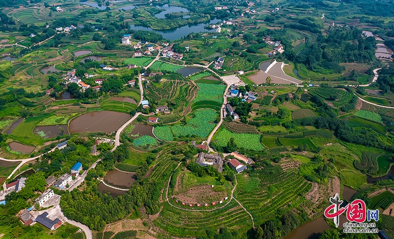 自贡沿滩：探索创新“旅游＋农业”模式 桂花村实现华丽蜕变