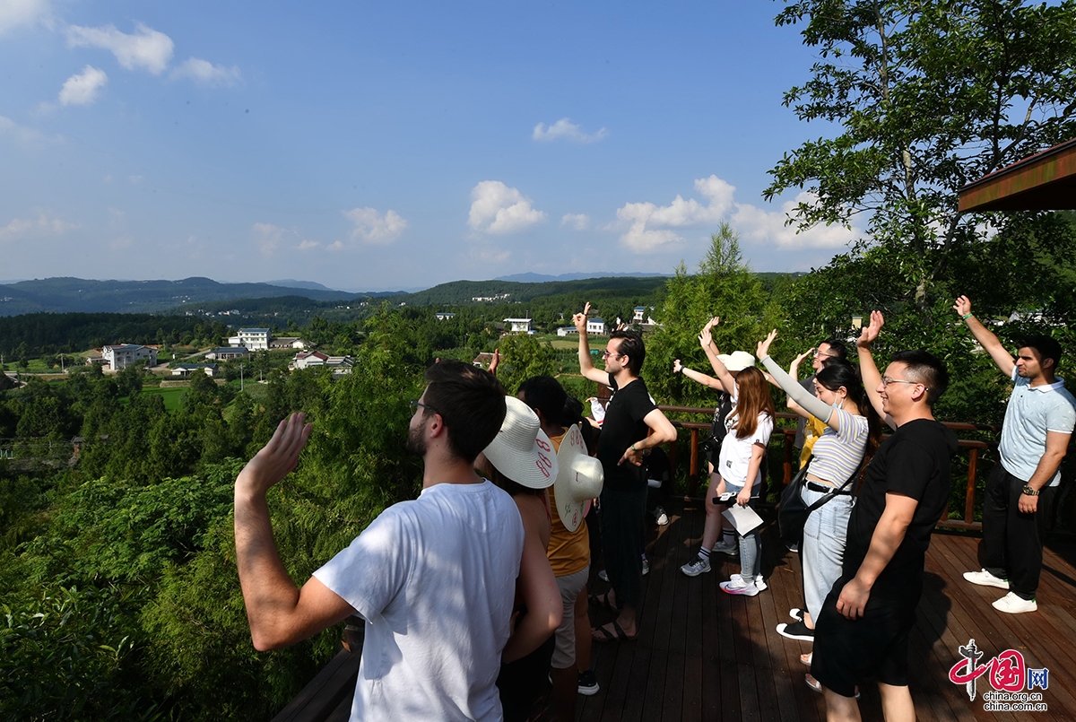 外籍友人暢遊蒼溪美麗新農村