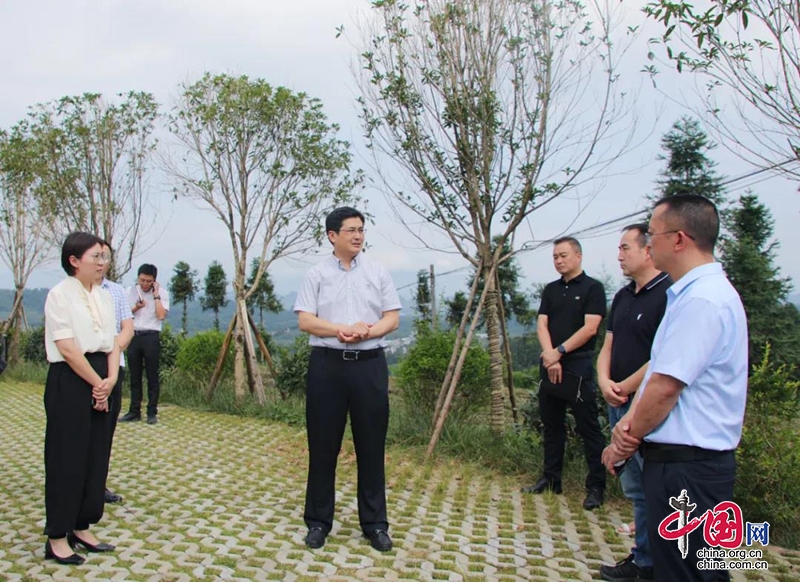 雨城區委副書記、區長陳建偉調研鄉村振興先進區創建工作時強調：要走文農旅特色産業融合發展之路，全方位助推鄉村振興！