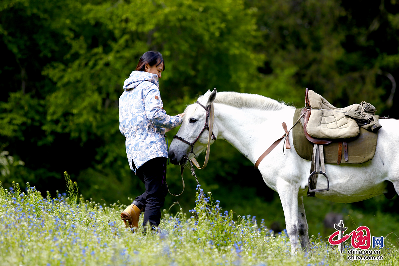 點燃時代女性光芒 最美民宿女主人“花開”阿壩