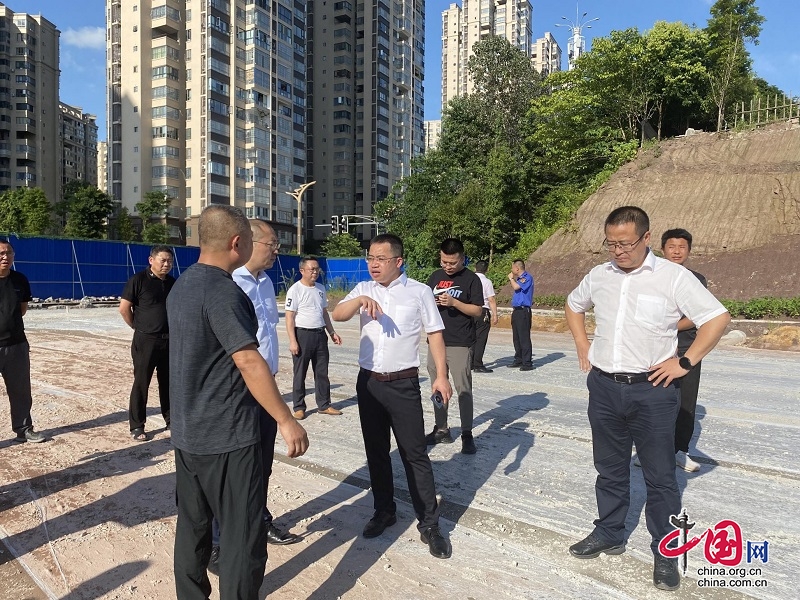 武胜县委副书记,县长陈俊楠带队调研城市建设工作