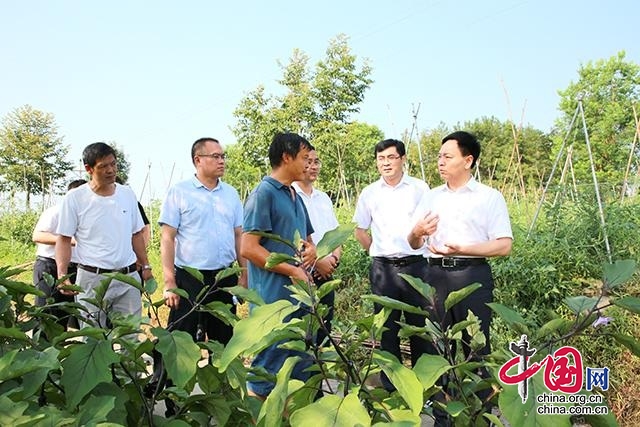 重庆彭水县委书记钱建超：选出好班子 换出新面貌