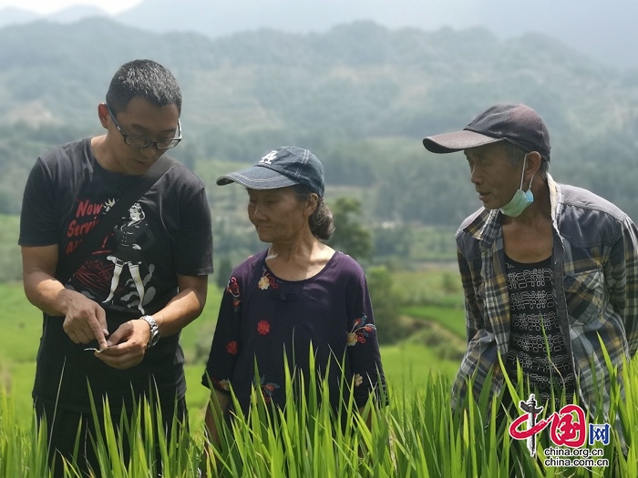 > 详情 2021年,李君保再次撰写《酉阳县2021年农业农村部水稻绿色高质